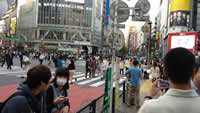 shibuya crossing